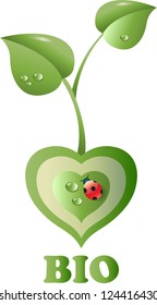 Plant  heart-shaped and ladybug. Bio symbol, healthy life. Second version