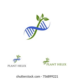 Plant and Helix Logo Design