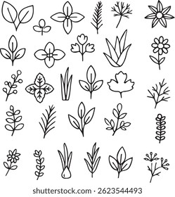 Conjunto de iconos de plantas y hierbas