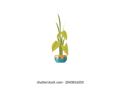 Plant Home Decor Vector illustration isolated on white background