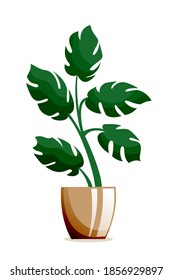 Plant at home. Interior design green houseplant vector illustration. Cartoon house or office plant standing in vase indoor. Decorative plant in pot isolated on white background.