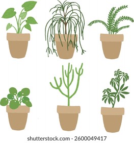plant home interior flower garden