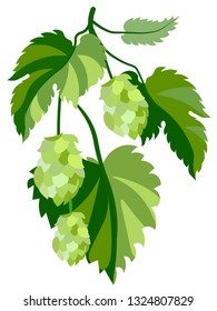 Plant hop. In minimalist style. Flat isometric vector illustration
