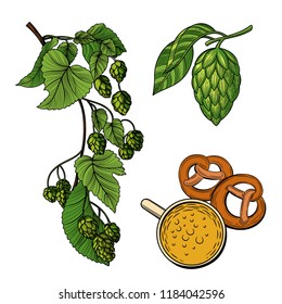 The plant is hops, twigs of hops, cone hops, beer, cakes. Templates for shops, restaurants, markets, labels and packaging. Vector illustration. Isolated images on white background. Vintage style.