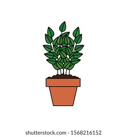 plant in house pot isolated icon vector illustration design