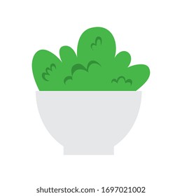 plant in house pot isolated icon vector illustration design