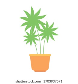 plant in house pot isolated icon vector illustration design