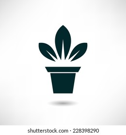  Plant icon