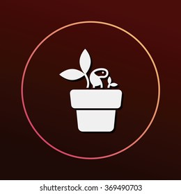 plant icon