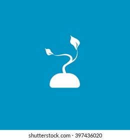 plant icon