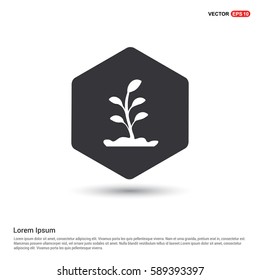 Plant Icon