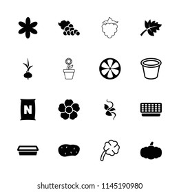 Plant icon. collection of 16 plant filled and outline icons such as flower, pot for plants, lemon, clover, leaf, pumpkin, potato. editable plant icons for web and mobile.