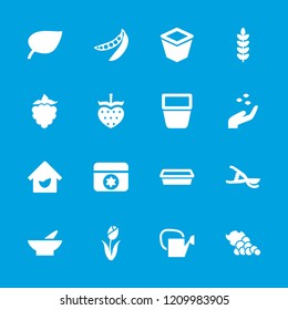 Plant icon. collection of 16 plant filled icons such as hand with seeds, bowl, leaf, garden tools, peas, eco house, mulberry, flower. editable plant icons for web and mobile.