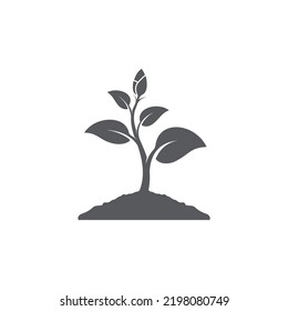 Plant icon design. Seed Sign symbol design. Seedling vector silhouette. leaf icon design. Vector illustration