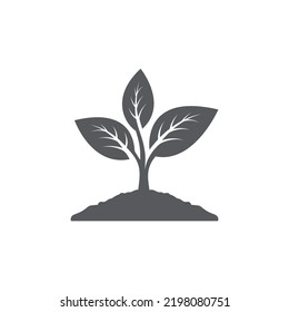 Plant icon design. Seed Sign symbol design. Seedling vector silhouette. leaf icon design. Vector illustration