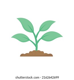 plant icon design template vector illustration