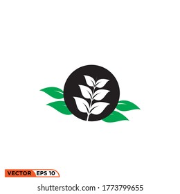 plant icon design vector illustration 