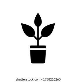 plant icon design vector template
