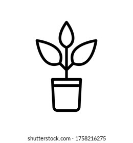 plant icon design vector template