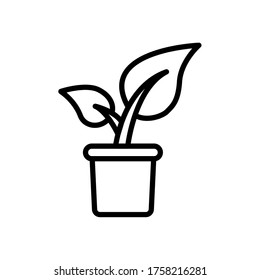 plant icon design vector template