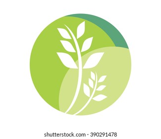 plant icon flora herbal nature image