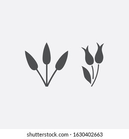 Plant icon, flower vector icon, flora, flower buds, rose, vector illustration.