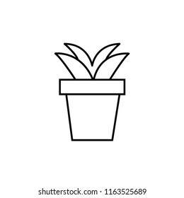 Plant icon. House plant icon. Vector icon.