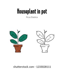 Plant icon. Illustration of Ficus Elastica. Simplified shape vector. Green houseplant in pot.