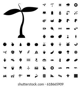Plant icon illustration isolated vector. agriculture icons vector set on white background.