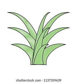 plant icon image