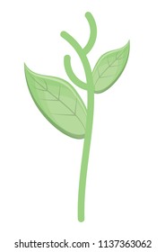 plant icon image