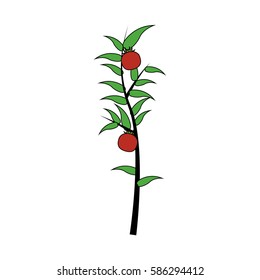plant icon image 