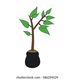 plant icon image 