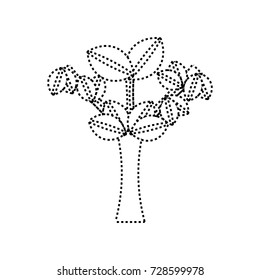 plant icon image