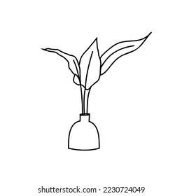 Plant icon, isolated on white background. Linear Han-drawn Doodle of houseplant in pot, vases. 