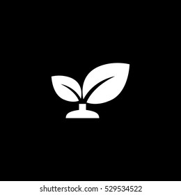 plant icon, isolated, white background