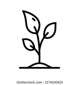 Icono de planta. Diseño De Estilo De Arte De Línea Aislado En Fondo Blanco