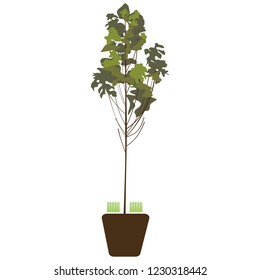 plant icon logo