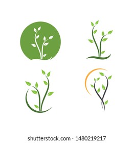plant icon logo vector illustration design template