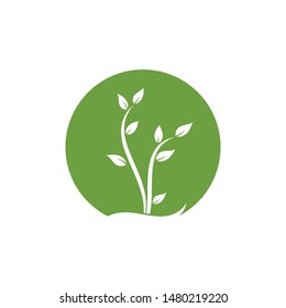 plant icon logo vector illustration design template