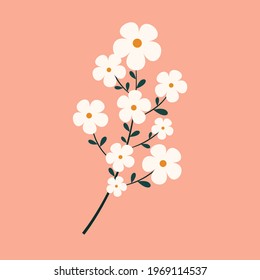 Plant icon. Lots of flowers on the branch. Natural floral element of the design of postcards, posters, greetings. Isolated on a light background. Doodle vector illustration