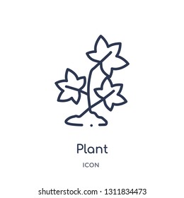 plant icon from nature outline collection. Thin line plant icon isolated on white background.