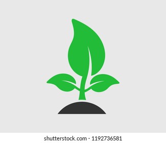 Plant Icon on gray background