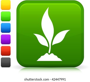 Pflanzensymbol auf dem quadratischen Internet-Button Sechs Farboptionen inbegriffen.