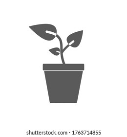 Plant icon on white background. Vector illustration