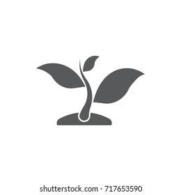 plant icon on the white background