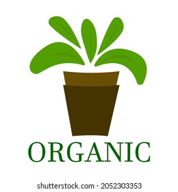 plant icon, organic produce, vector illustration
