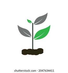 plant icon seeds thrive in the ground