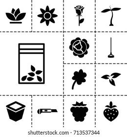 Plant icon. set of 13 filled plant icons such as plant, mulberry, cabbage, clover, rose, hoe, cutter, pot for plants, flower, seed bag
