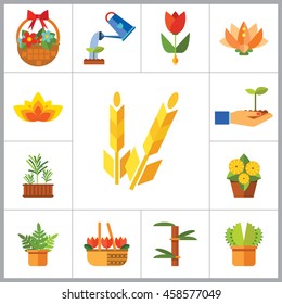 Plant Icon Set